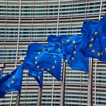 El Movimiento Europeo y la Conferencia sobre el Futuro de Europa: el CFEME reclama una participación más que justificada